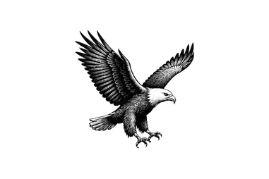 African fish eagle in Tarangire National Park during a photographic safari in Tanzania