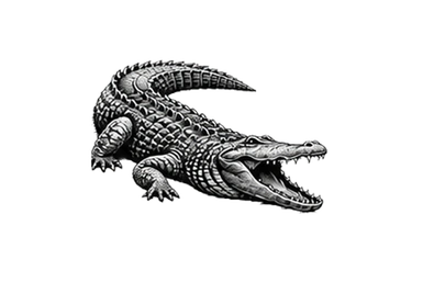 Nile crocodile in Tanzania during a photographic safari