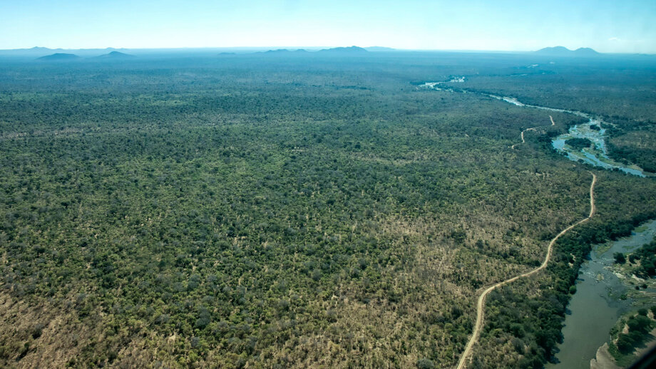 Remote landscape and wildlife in Ruaha National Park, Tanzania