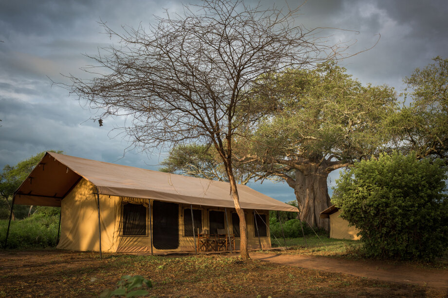Tented accommodation at Baobab Tented Camp in Tarangire