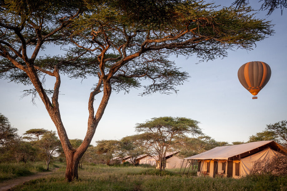 Gnu Migration Camp in the Ndutu plains