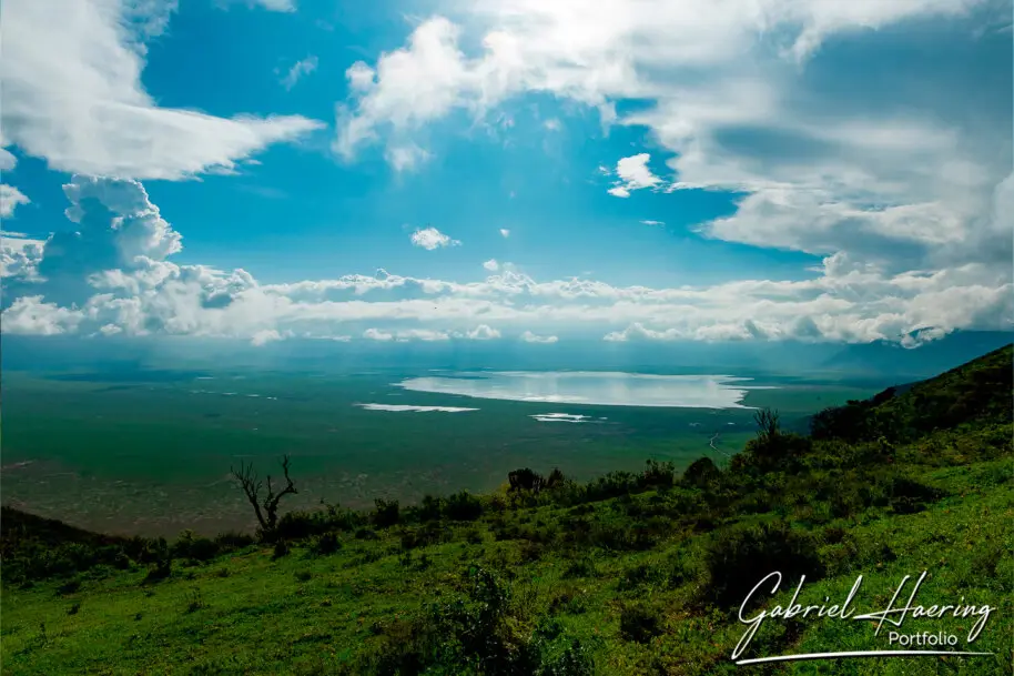 Ngorongoro crater view during the january calving season great migration photographic safari.