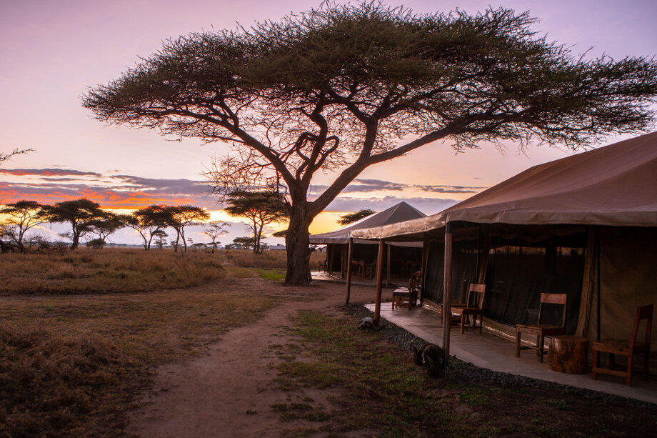 Mawé Tented Camp in Central Serengeti