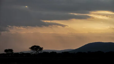 Sunrise in Serengeti National Park, Tanzania, photographed during a guided photographic safari.