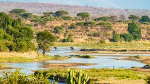 Beautiful lanscape can be observed in Ruaha National Park during a private photographic safari