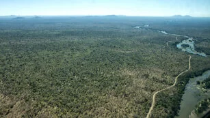 Beautiful lanscape can be observed in Ruaha National Park during a private photographic safari