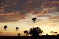 A unique sunset opportunity to visit Katavi National Park with a private photographic safari with Gabriel Haering