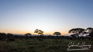 Sunrise is fascinating in Tarangire captured on a bespoke photographic safari in Tanzania
