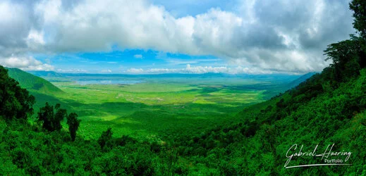 Landscape - Ngorongoro Crater, Tanzania, photographed during a guided photographic safari.