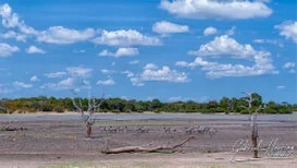 Landscape view of Nyerere National Park in Southern Tanzania with riverine wilderness and open safari scenery