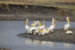 Beautiful lanscape can be observed in Katavi National Park during a private photographic safari