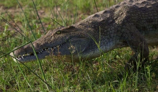 Beautiful lanscape can be observed in Katavi National Park during a private photographic safari