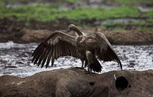 Beautiful lanscape can be observed in Katavi National Park during a private photographic safari