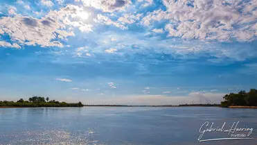 During a photographic safari in Nyerere National Park (former Selous Game Reserve) you can do either bird watching or enjoy the river on a boat observing all sort of animals