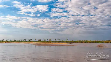 During a photographic safari in Nyerere National Park (former Selous Game Reserve) you can do either bird watching or enjoy the river on a boat observing all sort of animals