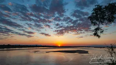 During a photographic safari in Nyerere National Park (former Selous Game Reserve) you can do either bird watching or enjoy the river on a boat observing all sort of animals