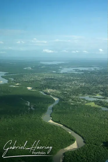 During a photographic safari in Nyerere National Park (former Selous Game Reserve) you can do either bird watching or enjoy the river on a boat observing all sort of animals